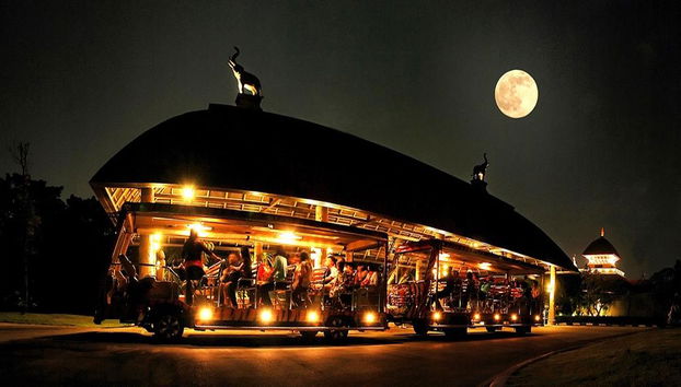 Safari Nocturno en Chiang Mai - Tour Privado - Foto 2